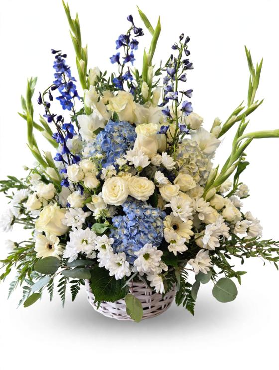 Serene Blue