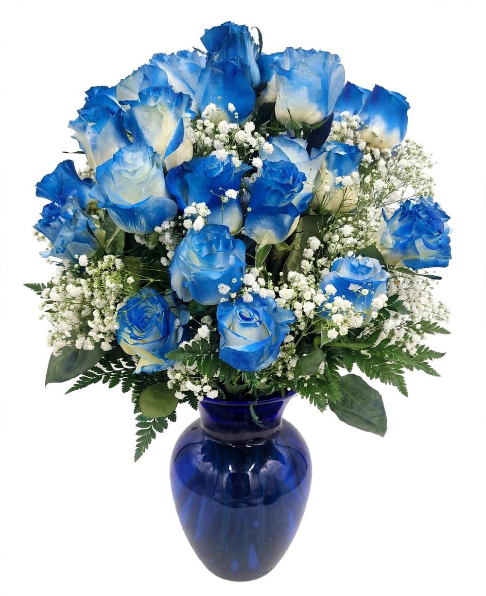 Blue Rose Dream
