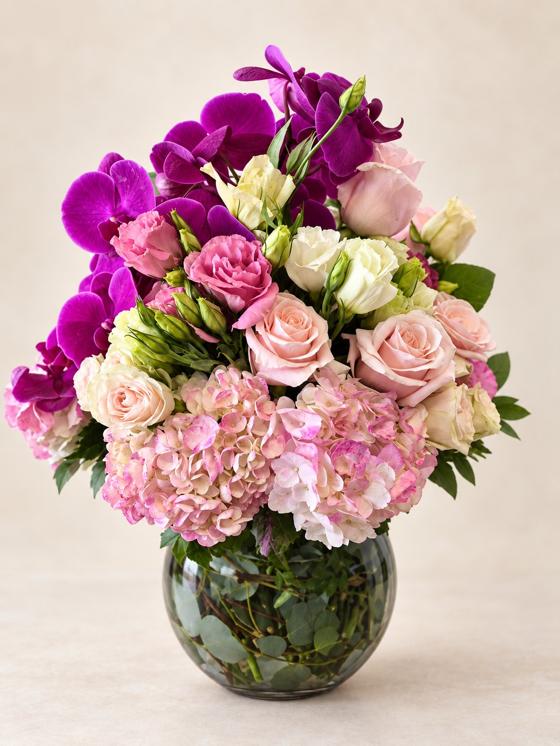 Orchid Blush