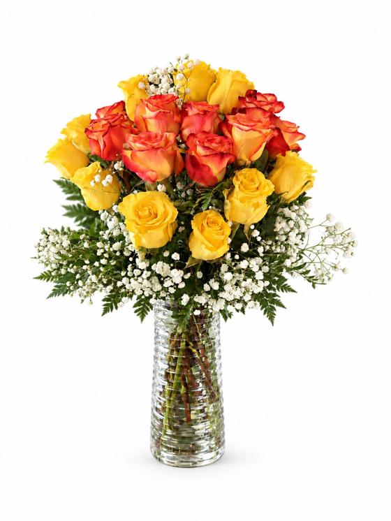 Sunlit Ember Roses