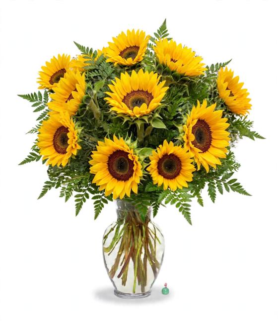 Sunflower Delight