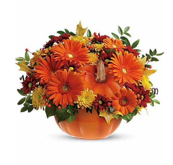 Pumpkin Harvest Blooms