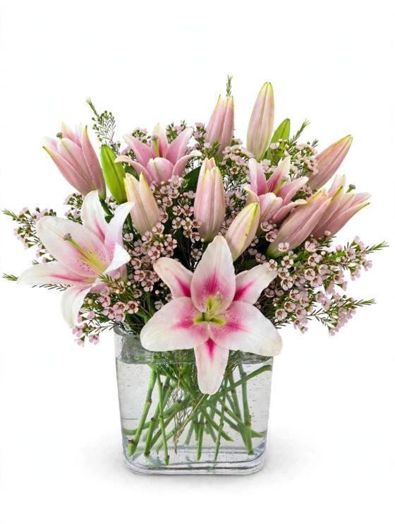 Stargazer Lily Dream