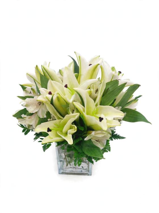 White Lily Dream