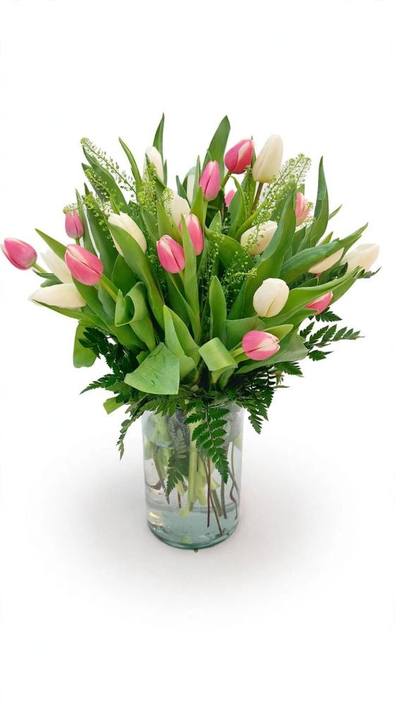 Tulip Delight