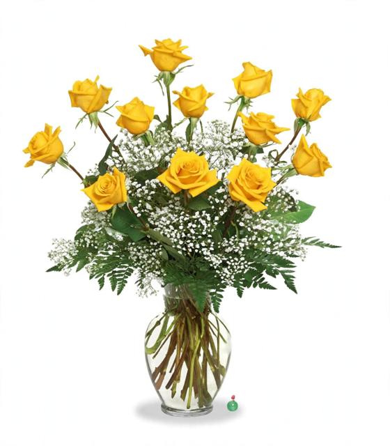 Yellow Rose Dozen