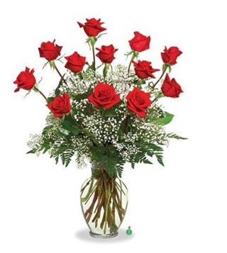 A Dozen Deluxe Roses