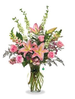 Shades of Pink